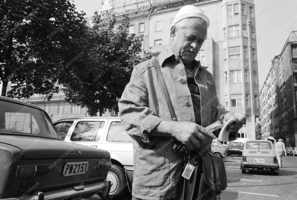 Városkép - Parkolás a Belvárosban