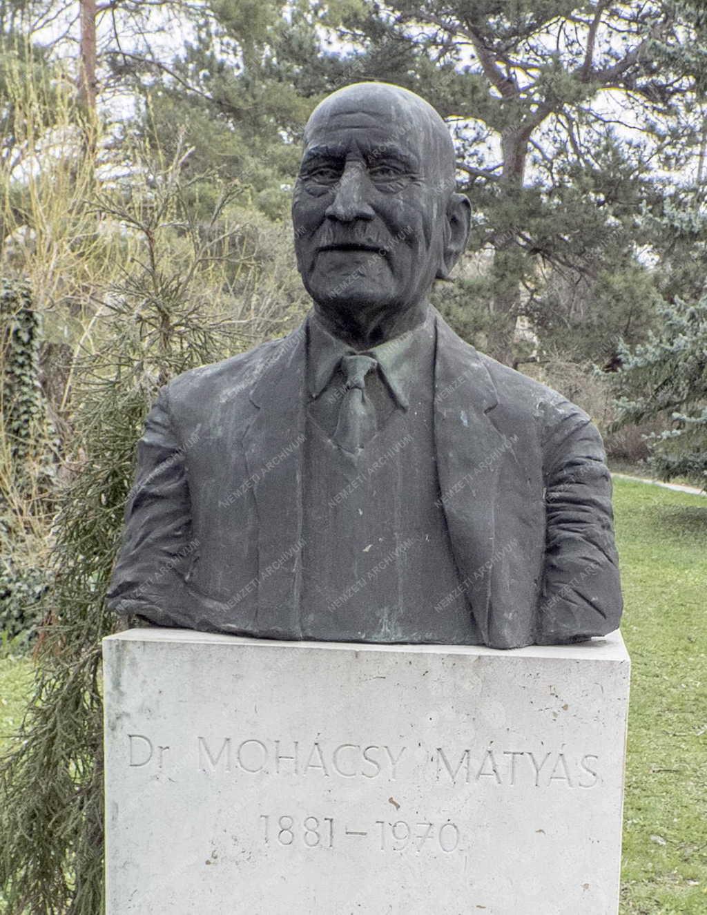 Köztéri szobor - Budapest - Dr. Mohácsy Mátyás