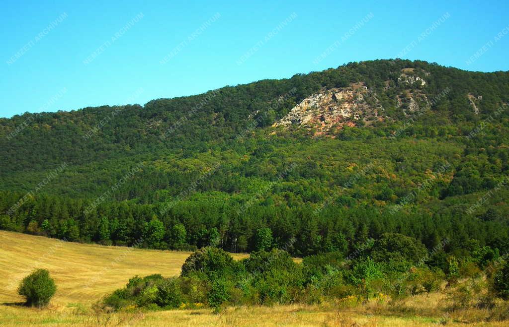 Tájkép - Vác - A Naszály-hegy