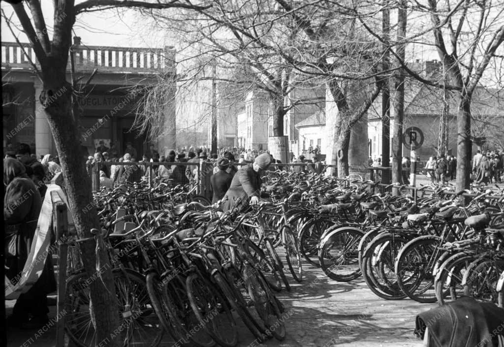 Városkép-életkép - Kerékpárpark a törökszentmiklósi piac előtt