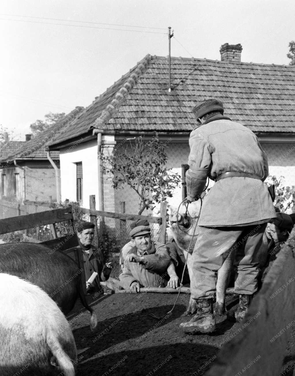 Időjárás - Áradás