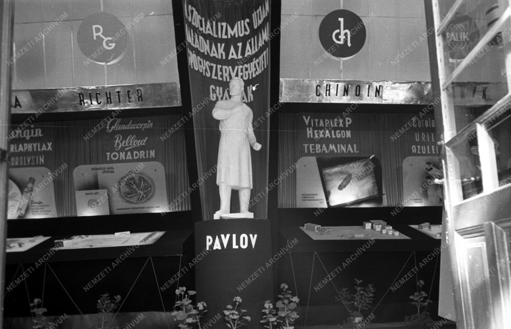 Egészségügy - Orvosi Nagyhét