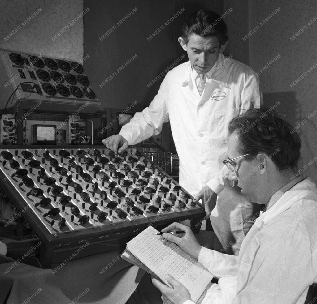 Technika - A Gamma Optikai Művek új elektronikus számítógépe
