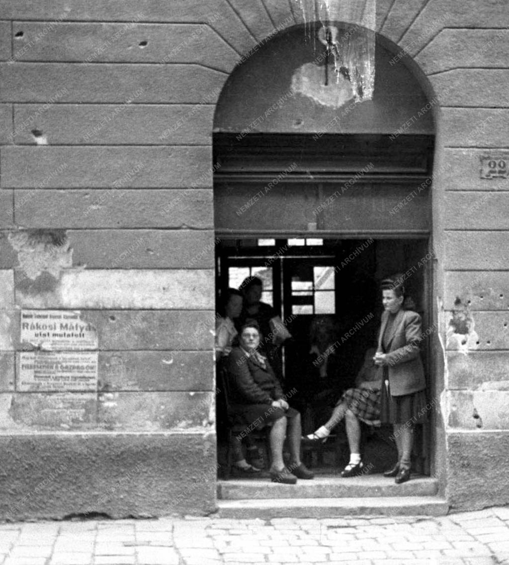Társadalmi kérdés - Prostituáltak Budapest külvárosában