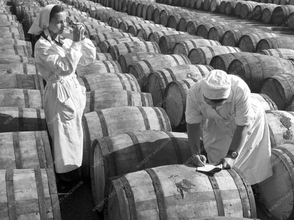 Élelmiszeripar - Kecskeméti Kinizsi Konzervgyár