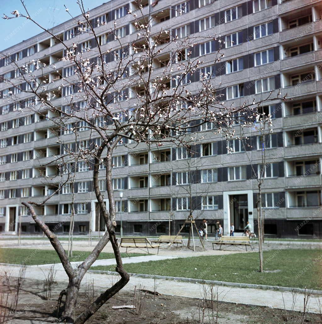 Városkép - A kelenföldi lakótelep