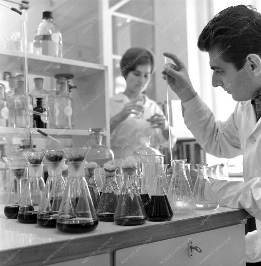 Tudomány - A Botanikai Kutató Intézet új laboratóriuma