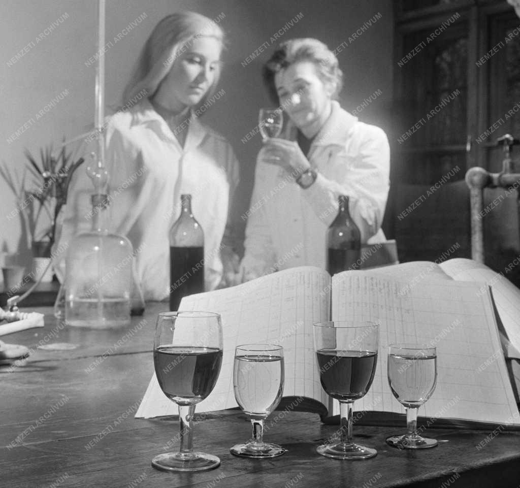 Mezőgazdaság - Szőlészeti Kutató Intézet 