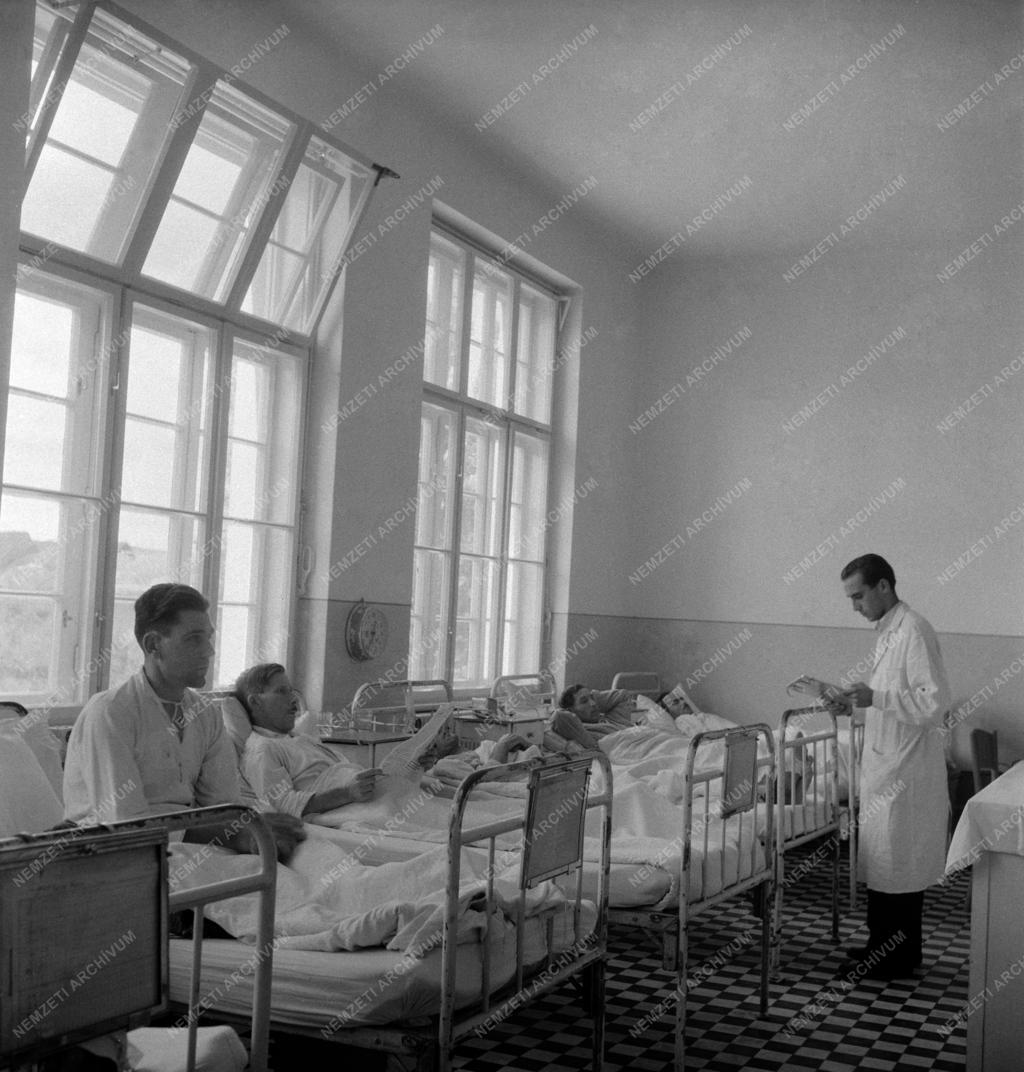 Egészségügy - Diósgyőr-Vasgyári Kórház