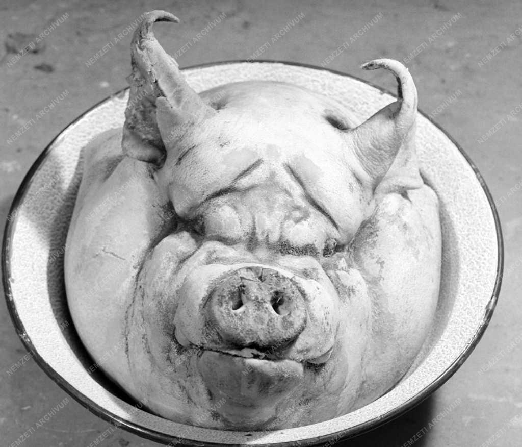 Életvitel - Falusi disznóvágás