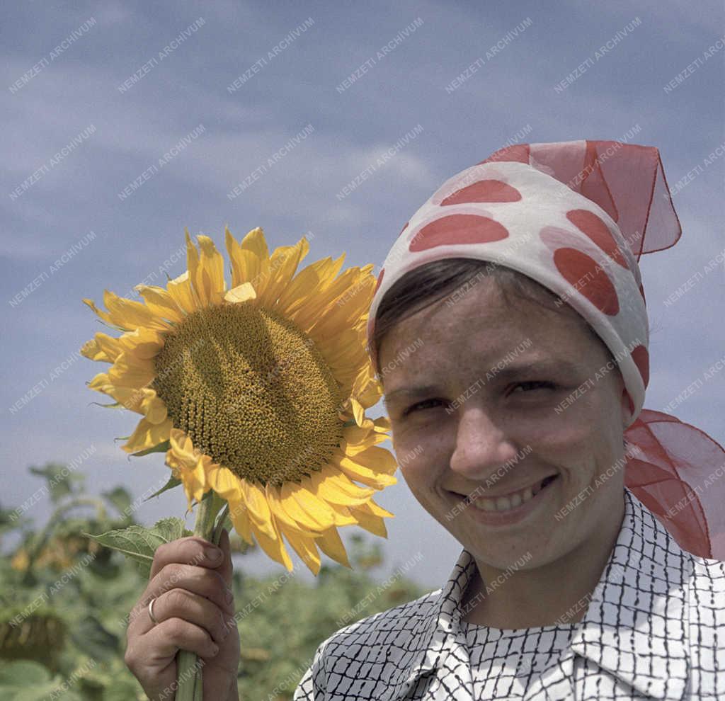 Mezőgazdaság - Dömsödi Dózsa Termelőszövetkezet