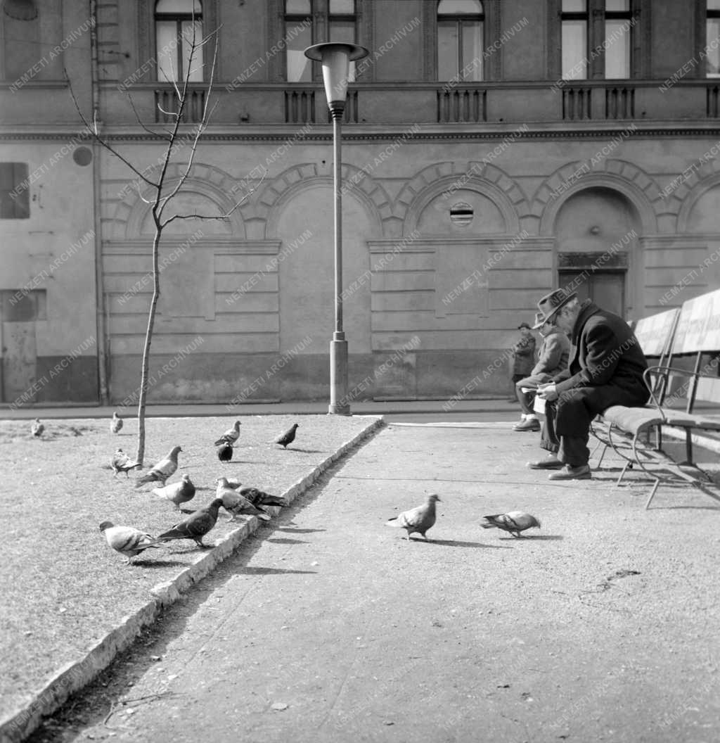 Életkép - Parkban olvasó férfi