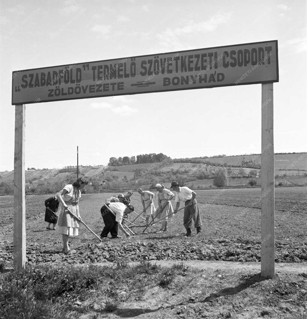 Mezőgazdaság - Mezőgazdasági munka