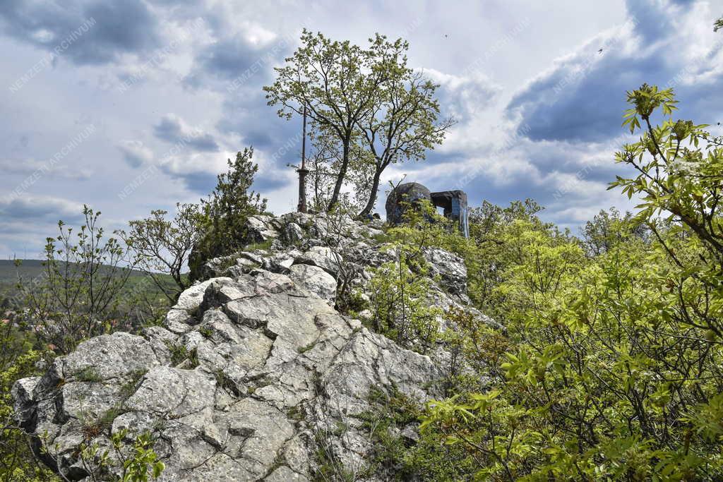 Természet - Budapest - Fazekas-hegy