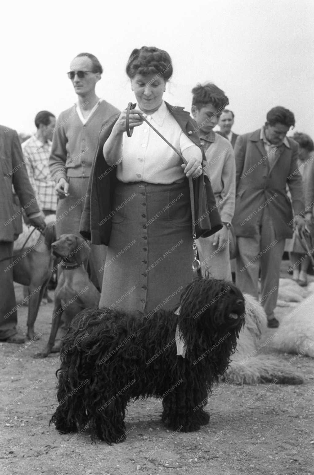 Kiállítás - Országos Kutyakiállítás