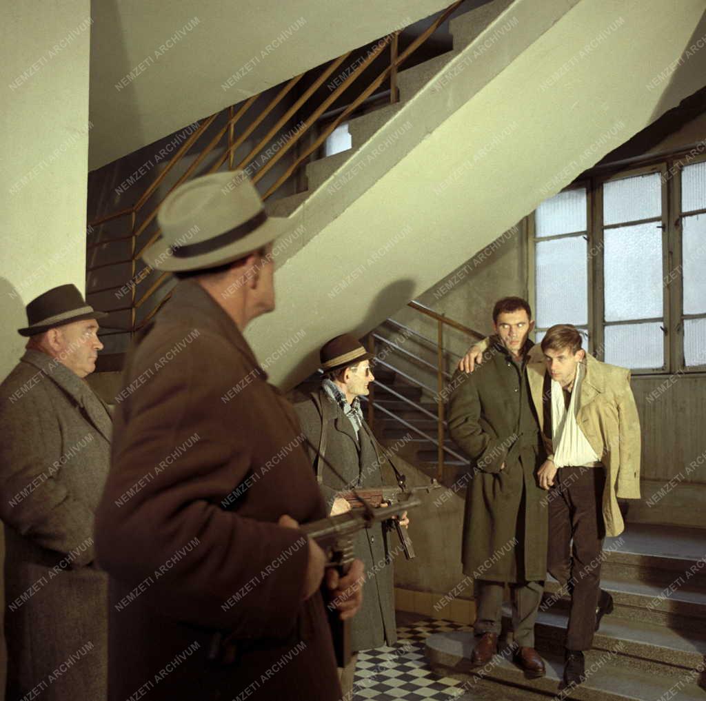 Kultúra - Film - Zöldár  