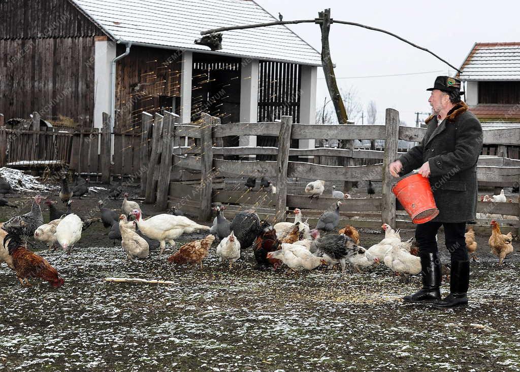 Hagyomány - Berettyóújfalu - Tanyasi életforma