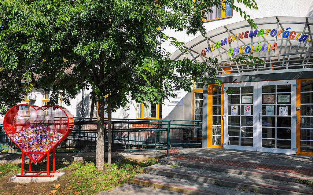 Környezetvédelem - Debrecen - Műanyag kupakgyűjtés