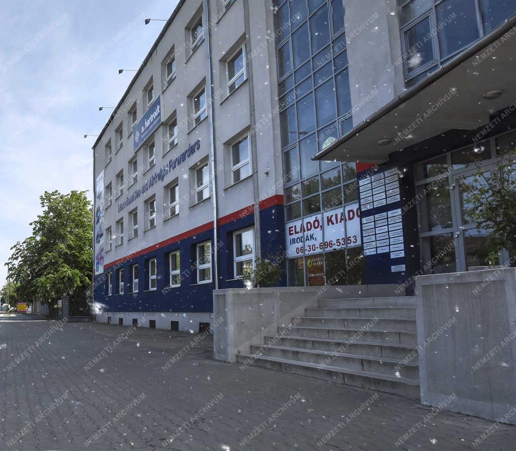 Városkép - Budapest - Nyárfavirág