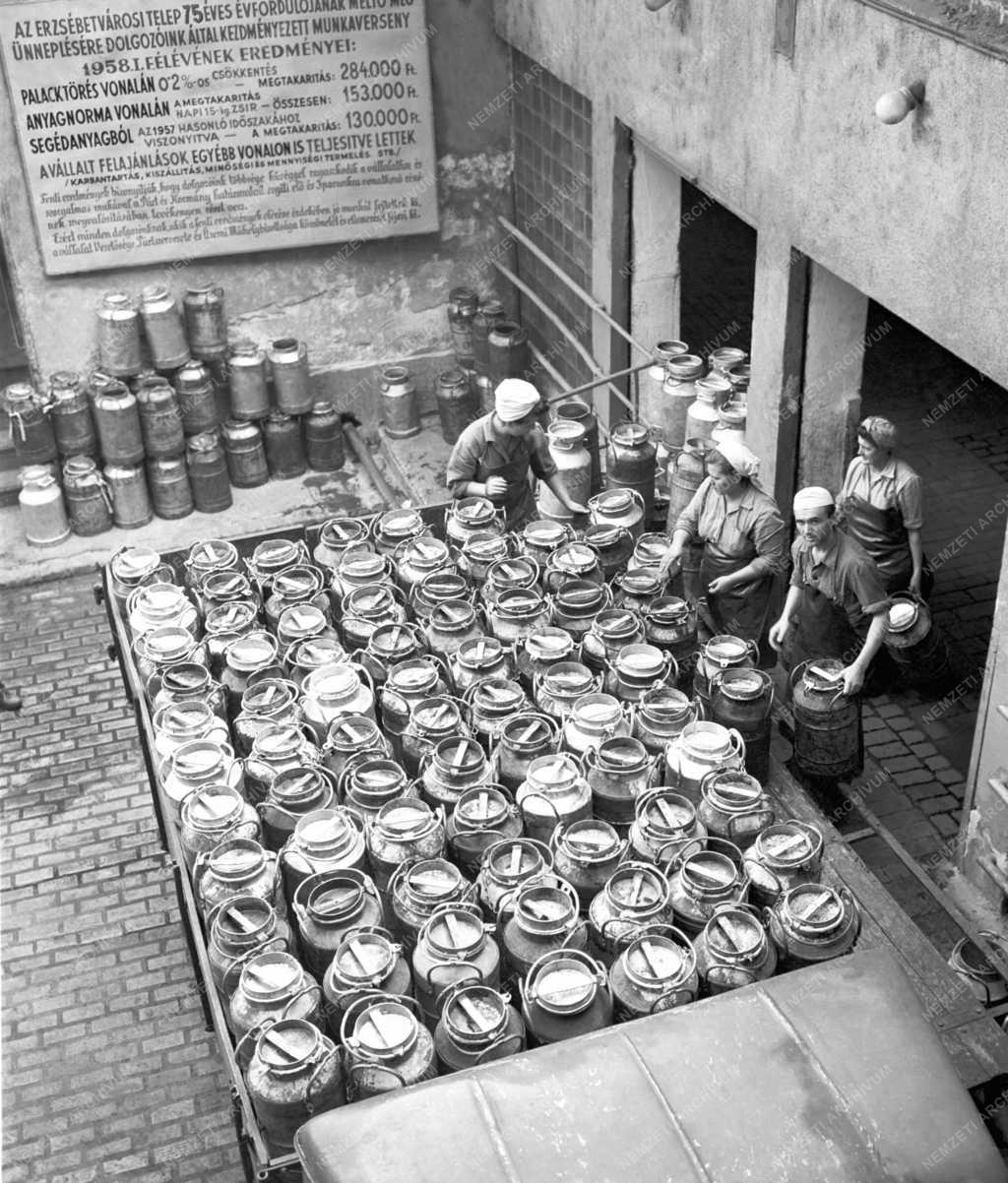 Ipar - A Budapesti Tejipari Vállalat erzsébetvárosi telepe 