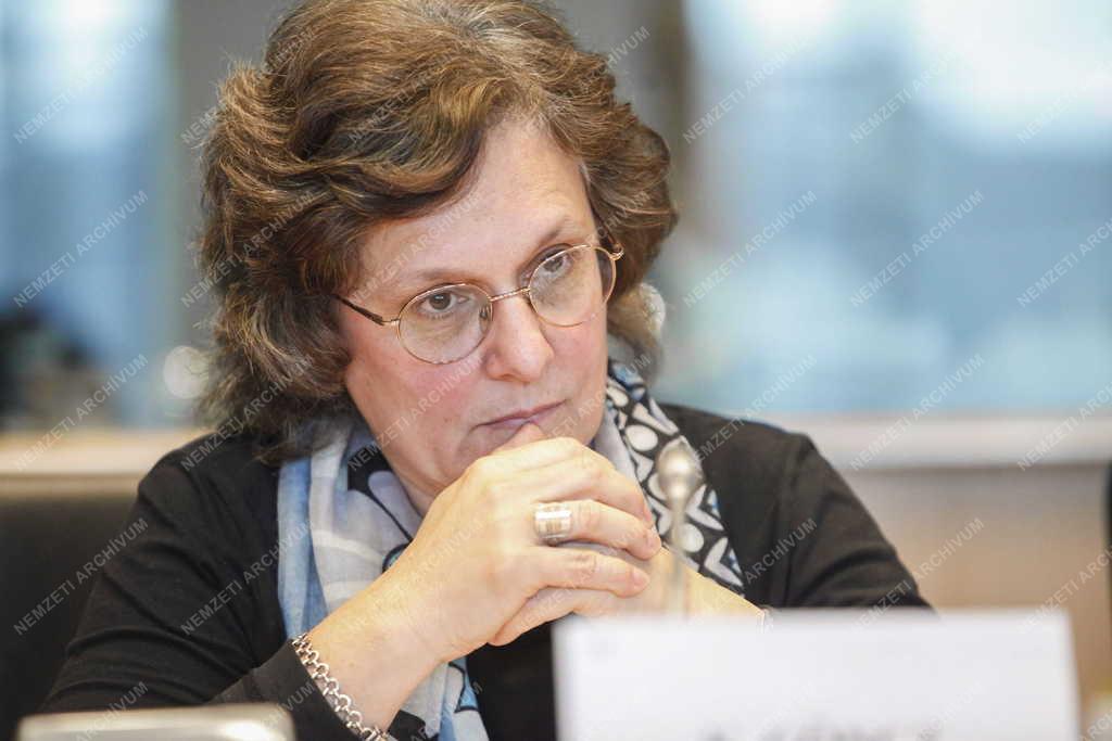 EP-bizottsági vita a magyarországi helyzetről