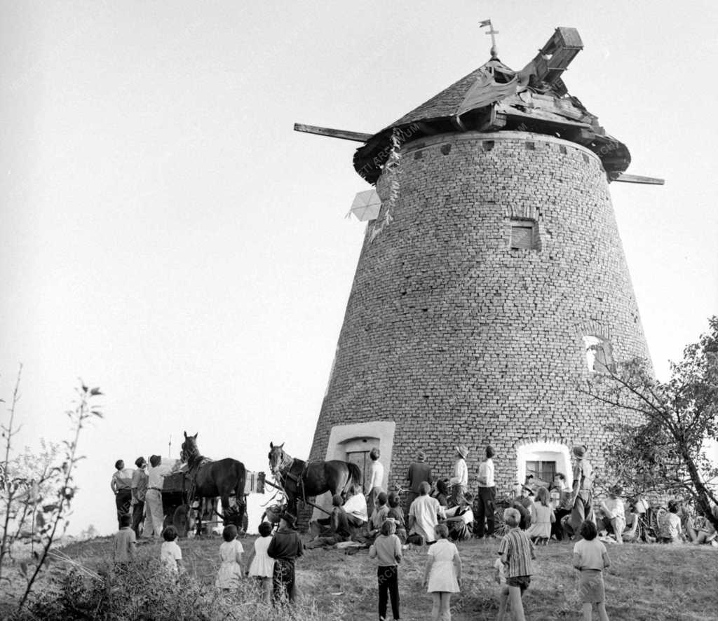 Kultúra - Szalai Ferenc festőművész műterme