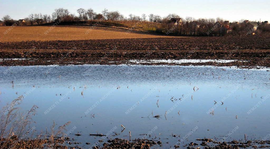 Tájkép - Balatonfőkajár - Belvizes szántóföld