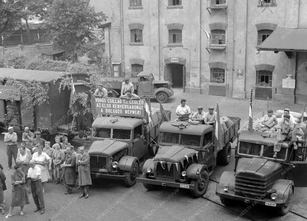 Mezőgazdaság - A Ferencvárosi Malomba érkezett a learatott búza