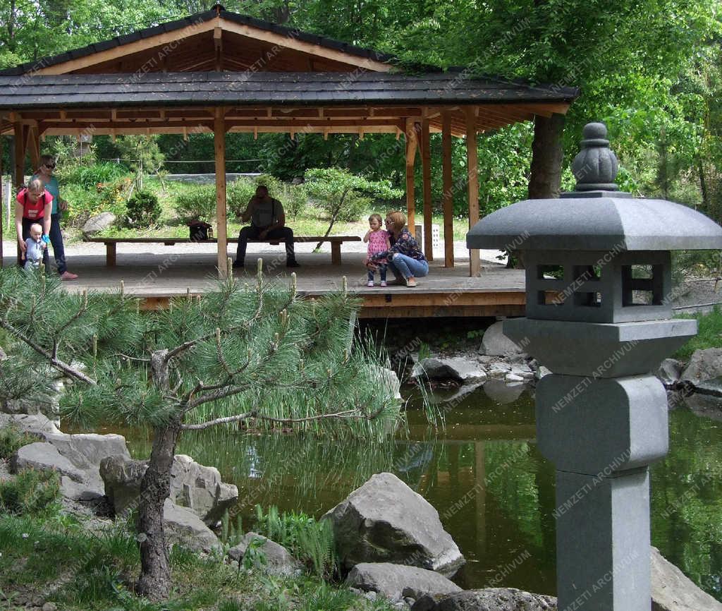 Természet - Szentendre - Közösségi japán kert a városban