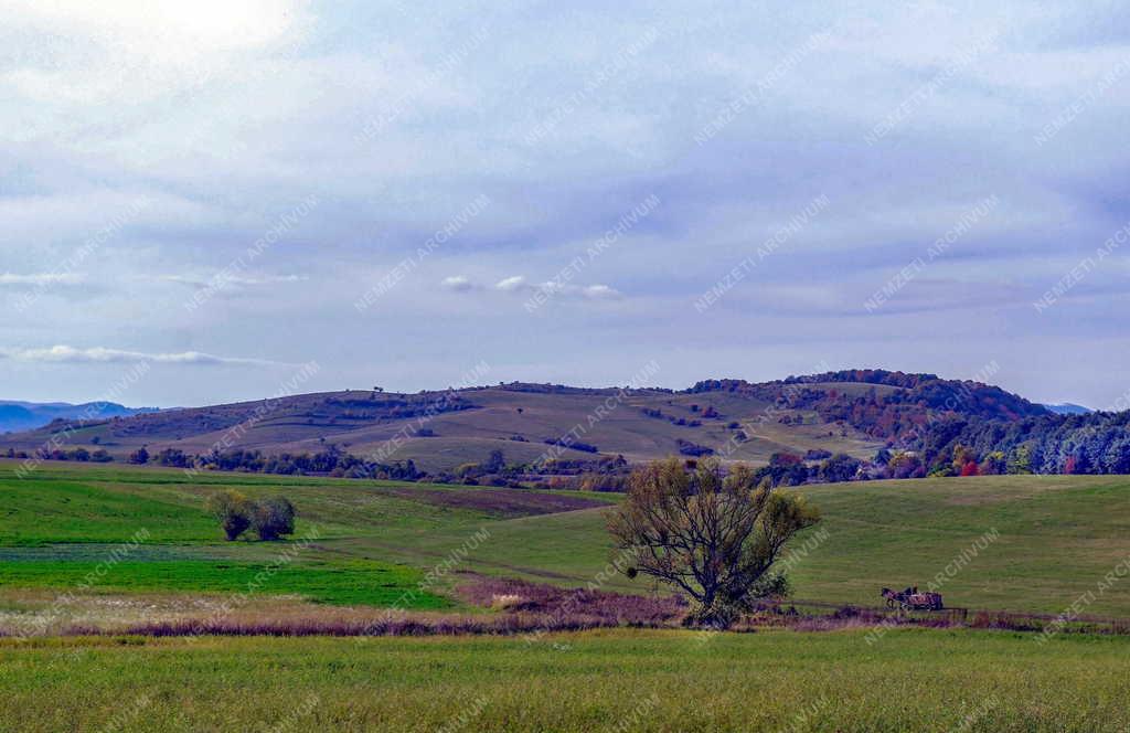 Természet - Őszi tájkép Erdélyben Zsoboknál