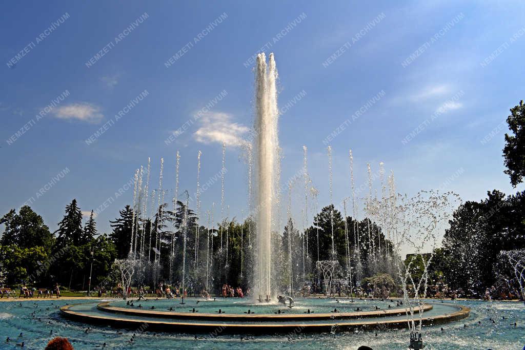 Városkép - Budapest - Margitszigeti szökőkút