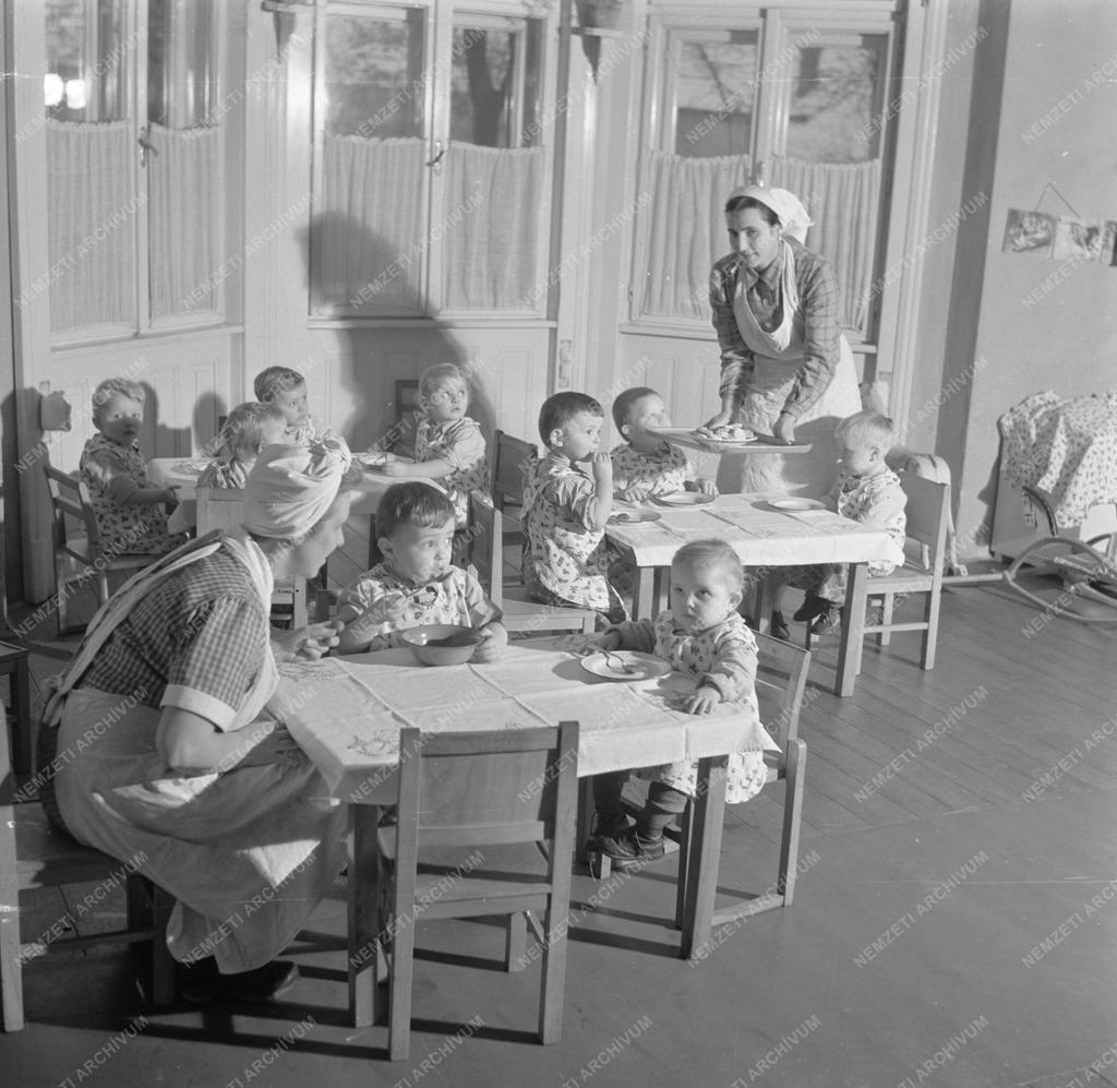 Különböző riportok