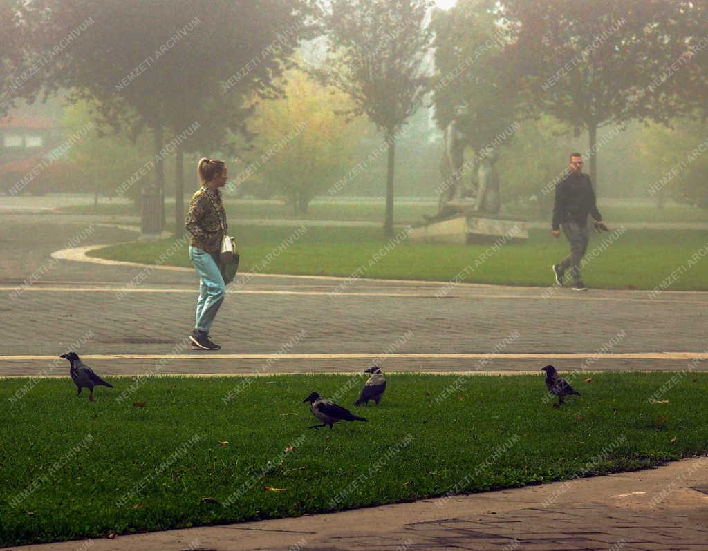 Időjárás - Ősz Debrecenben