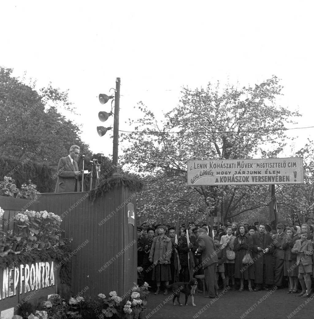 Belpolitika - Választások 1953-ban