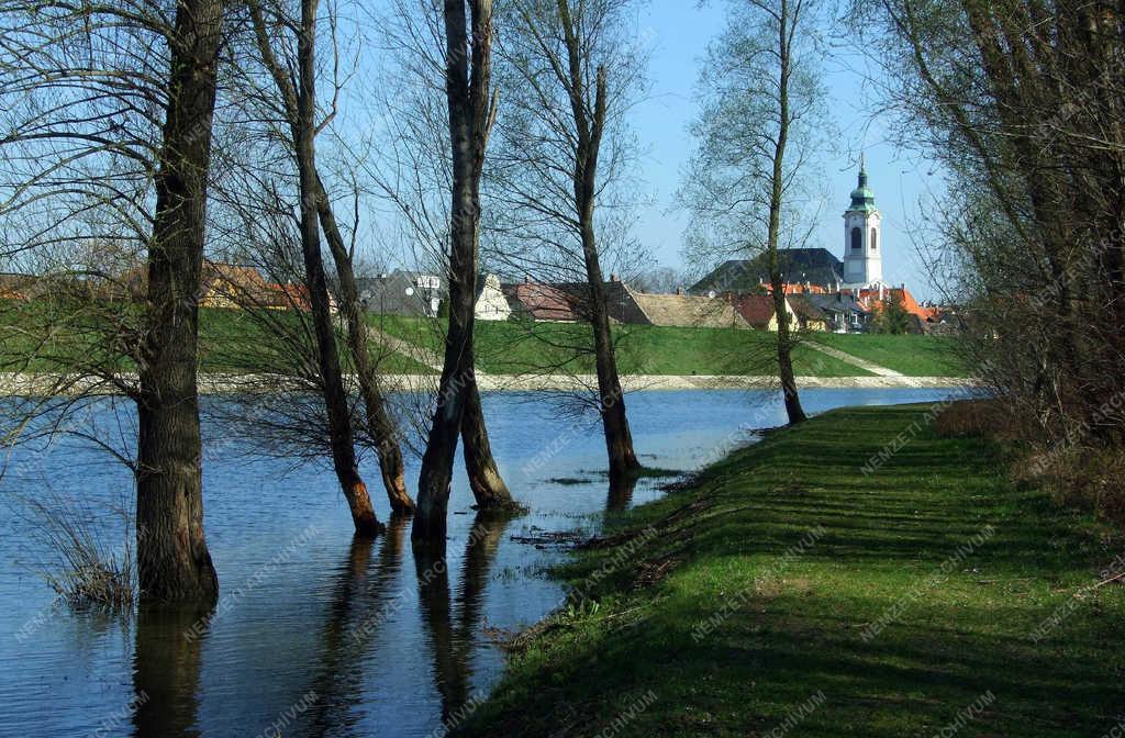 Természet - Győr - Tavasz a Rába árterében
