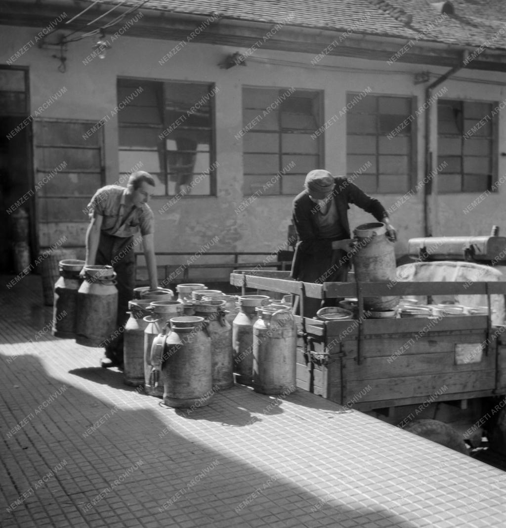 Élelmiszeripar - Magyar Tej- és Tejtermék Forgalmi Rt.