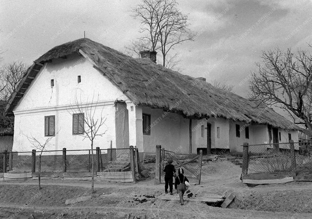 A szerző válogatása - Buzsák