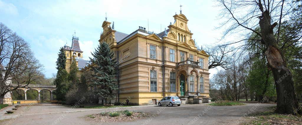 Városkép -  Szabadkígyós - Wenckheim kastély