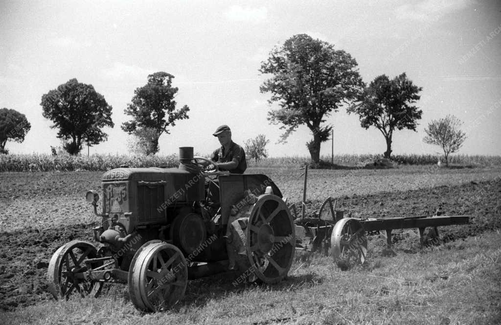 Mezőgazdaság - Termény-beszolgáltatás