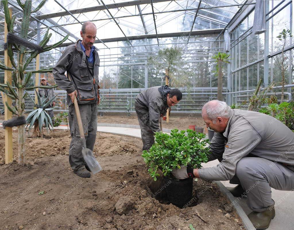 Épület - Debrecen - Új üvegház a botanikus kertben