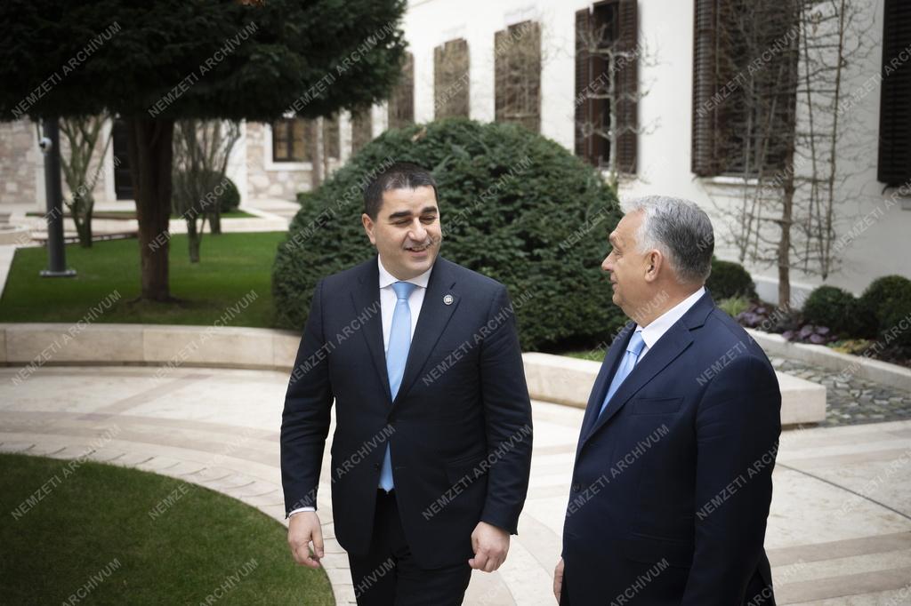 Orbán Viktor fogadta a georgiai parlament elnökét