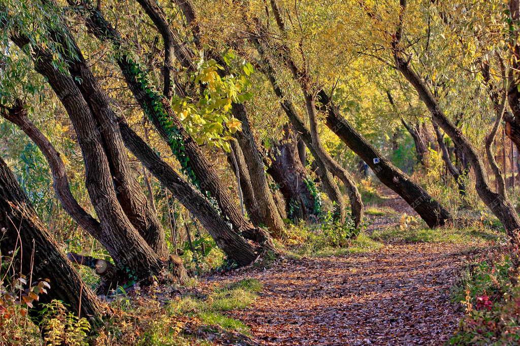 Soroksári Duna - Dunaparti sétány