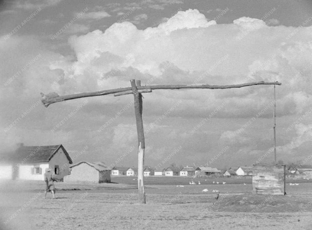 Kultúra - Hortobágy című film