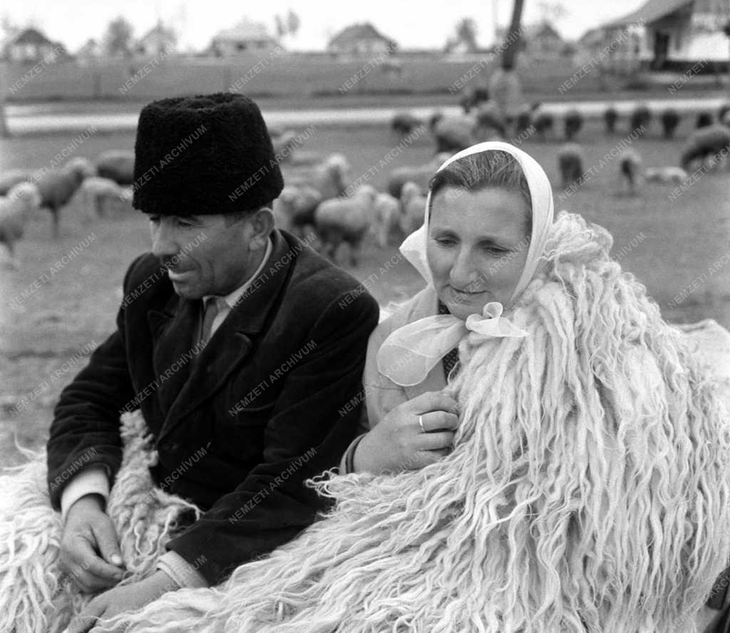 Mezőgazdaság - Időjárás - Juhász a szeszélyes tavaszi időben