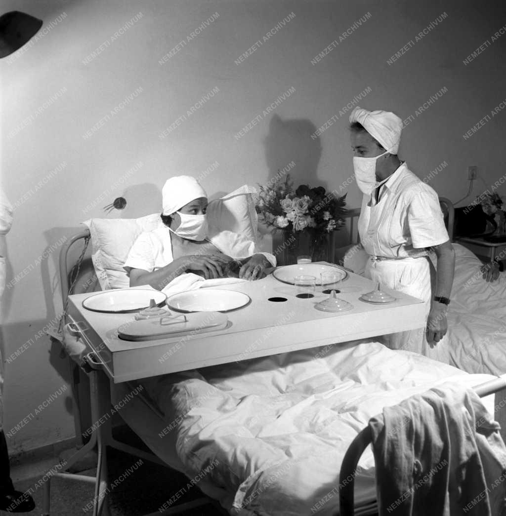 Egészségügy - Schöpf-Merei Kórház