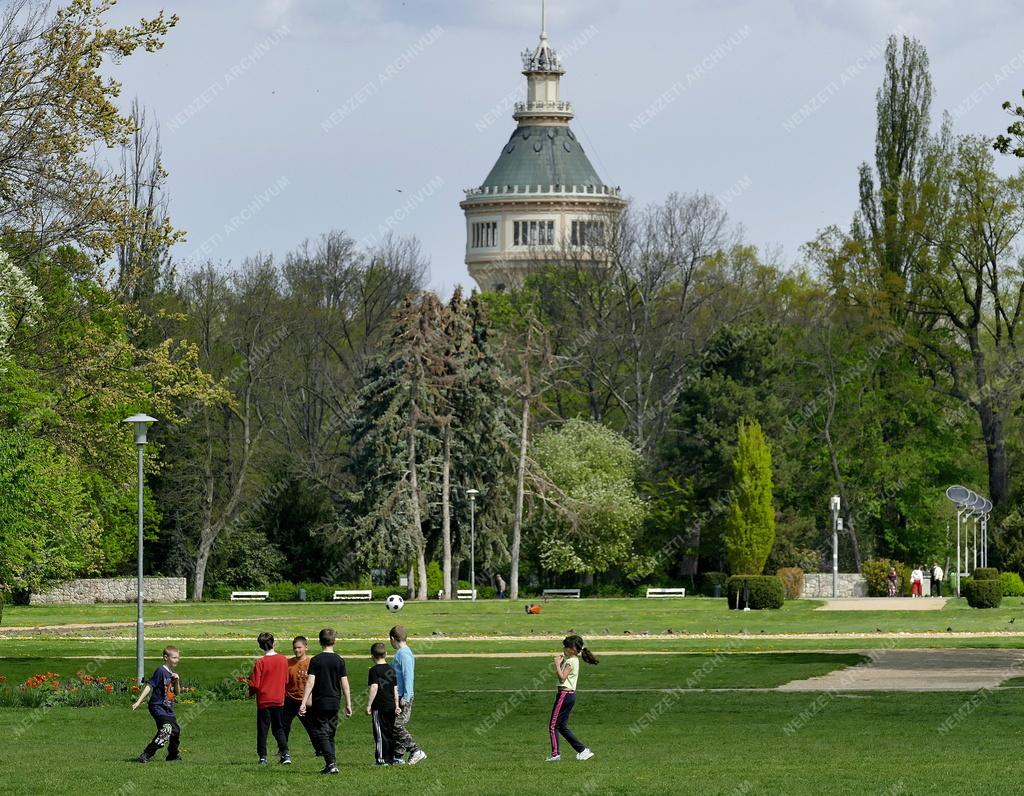 Városkép - Budapest - Tavasz a Margit-szigeten
