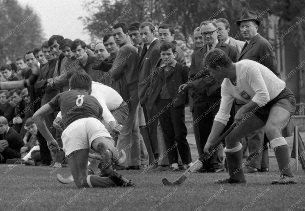 Sport - Lengyelország-Magyarország gyeplabda-mérkőzés