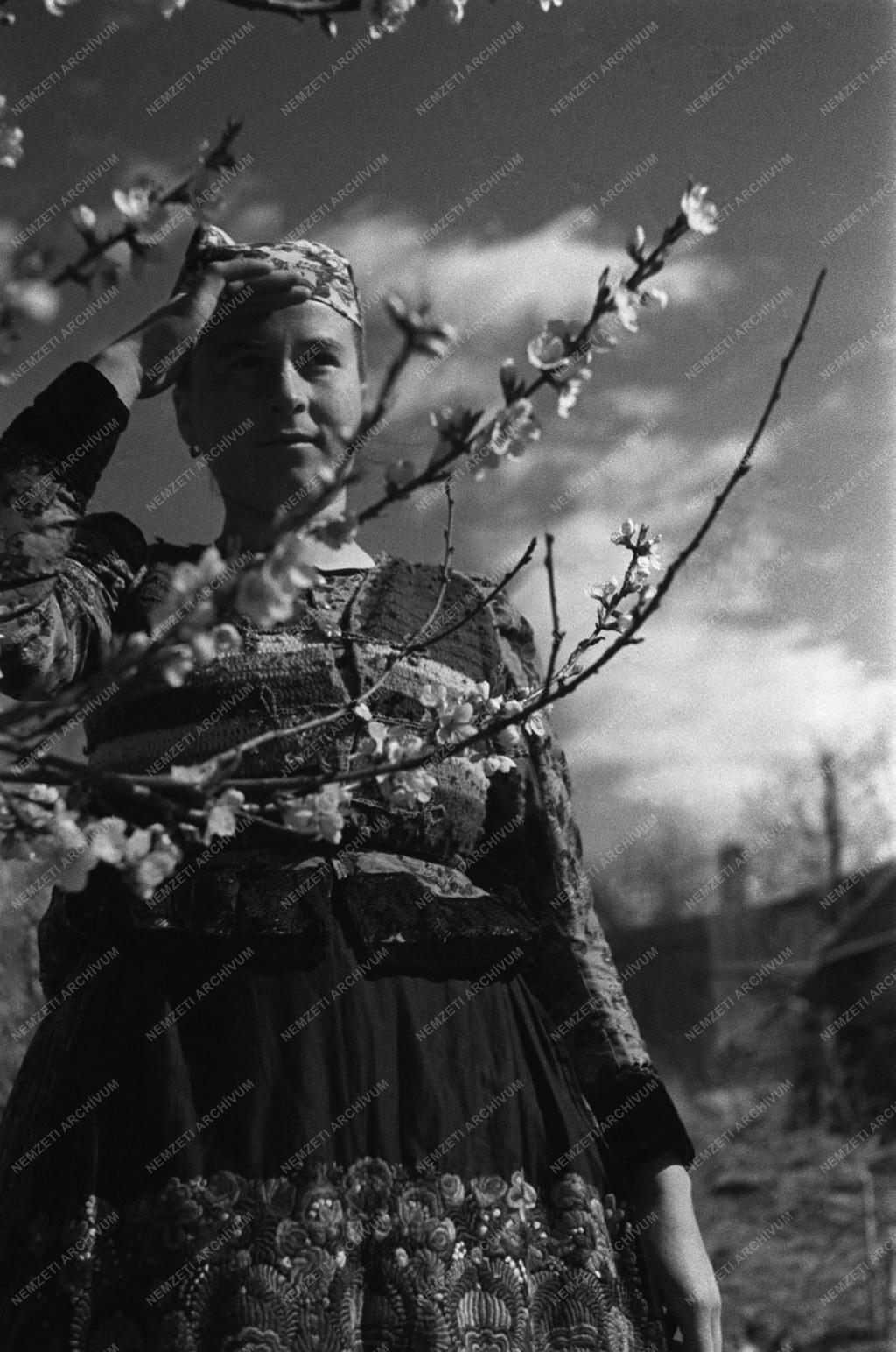 Békásmegyer: Új telepesek I.