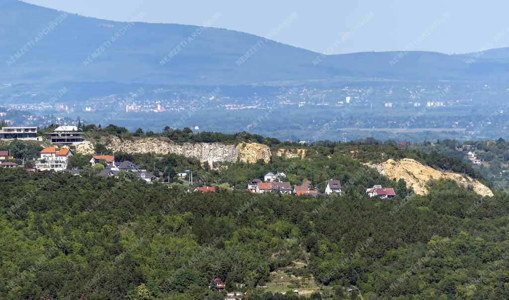 Természet - Budapest - Róka-hegy