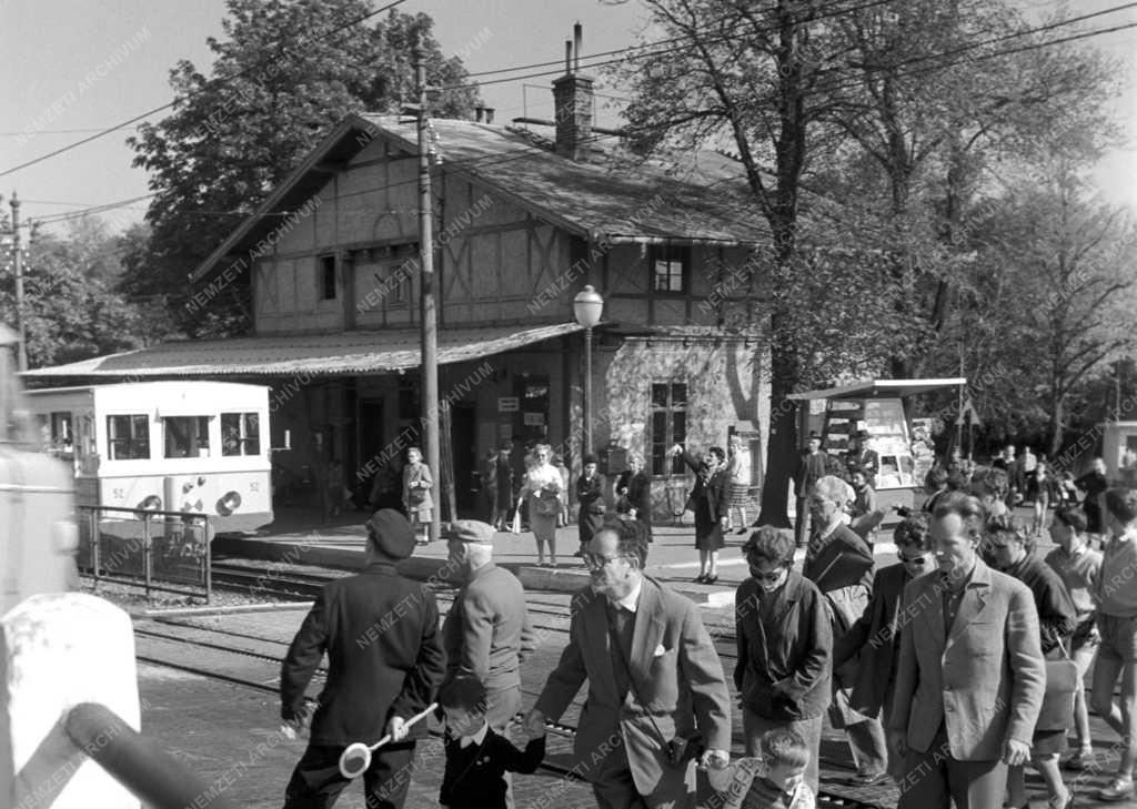 Szabadidő - Kirándulók a Szabadság-hegyen